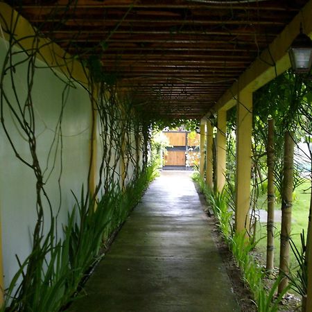 Greenyard Inn Manoc-Manoc Exterior foto